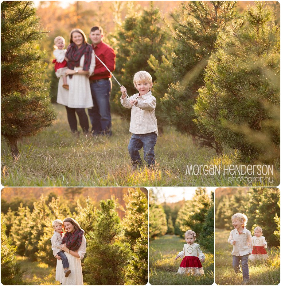 holiday mini sessions at jordan lake christmas tree farm holiday mini sessions at jordan lake christmas tree farm