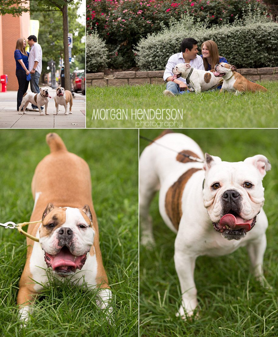 Downtown Raleigh engagement photos with dogs moore square