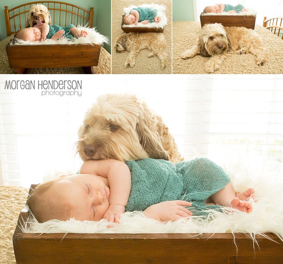 Cary newborn photography with dog
