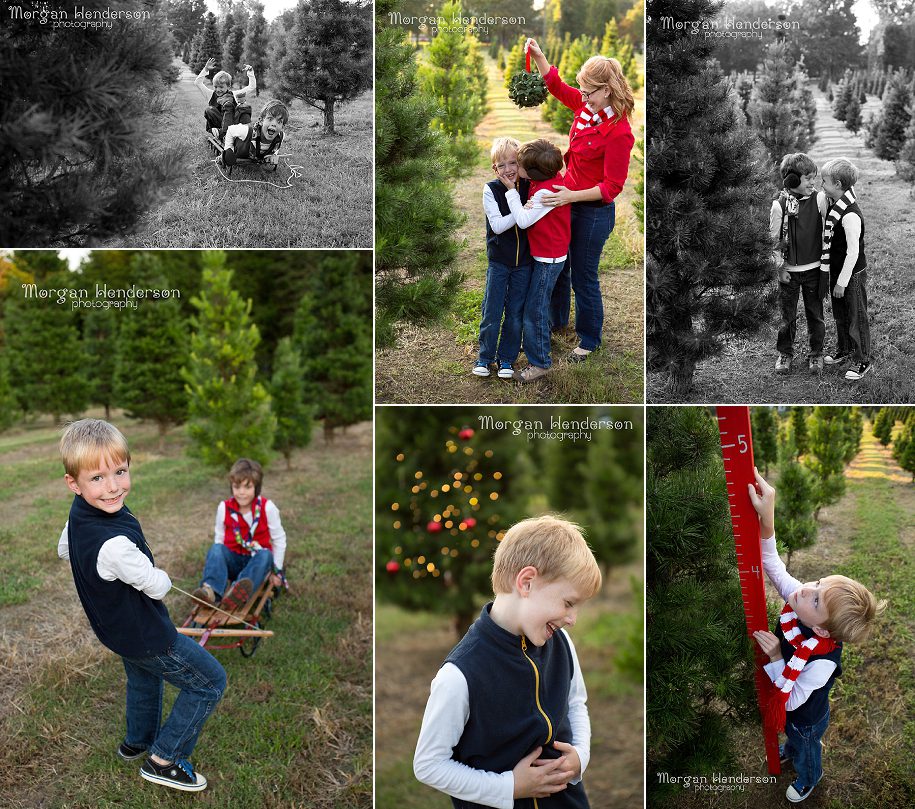 Jordan Lake Christmas Tree Farm Family Photography
