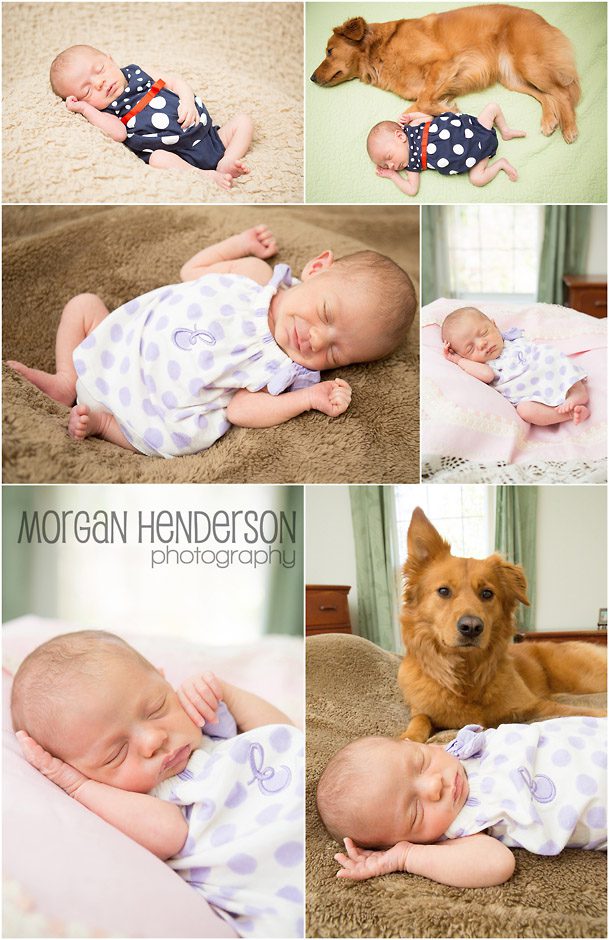 Durham at home newborn photography with dog