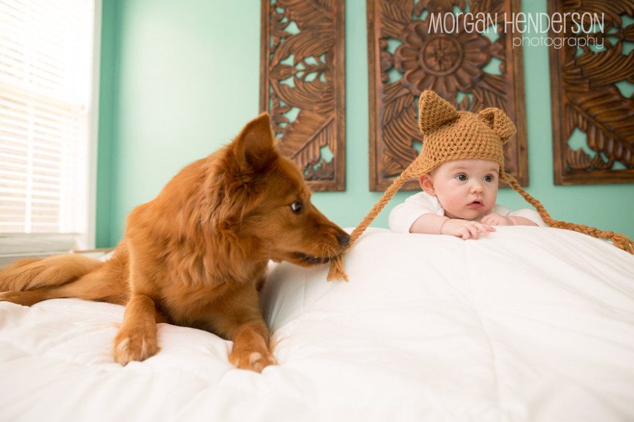 baby and dog photography