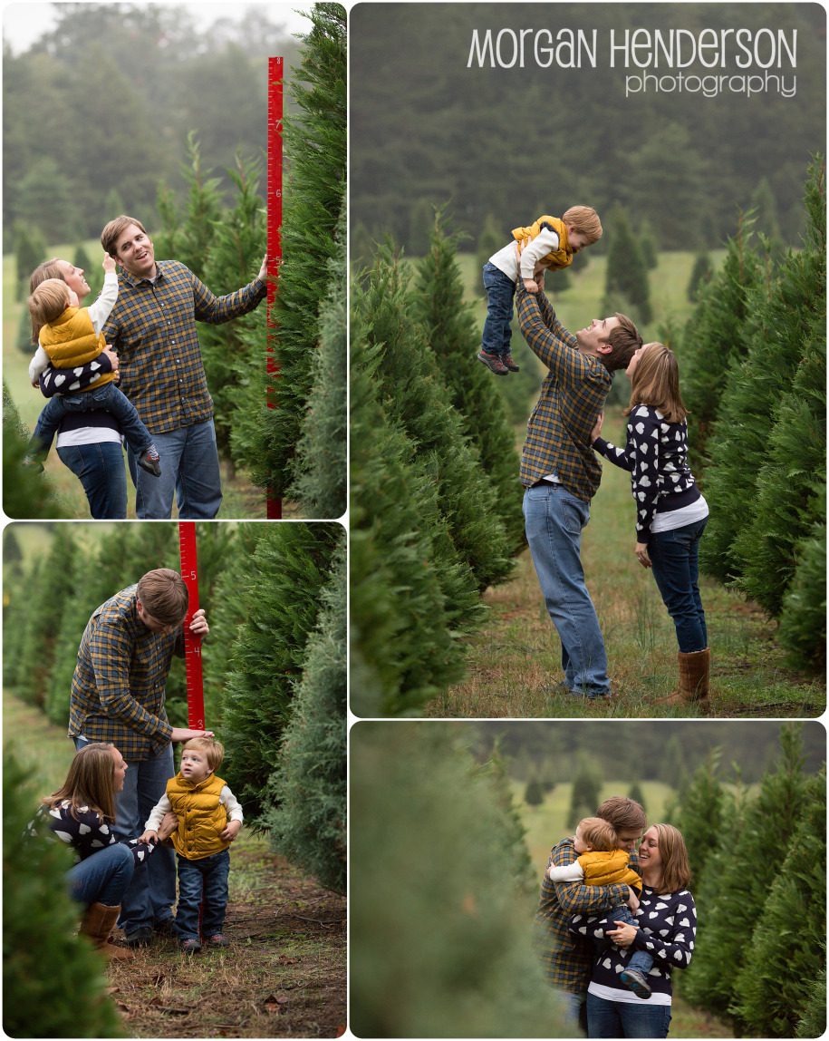 raleigh apex christmas tree farm
