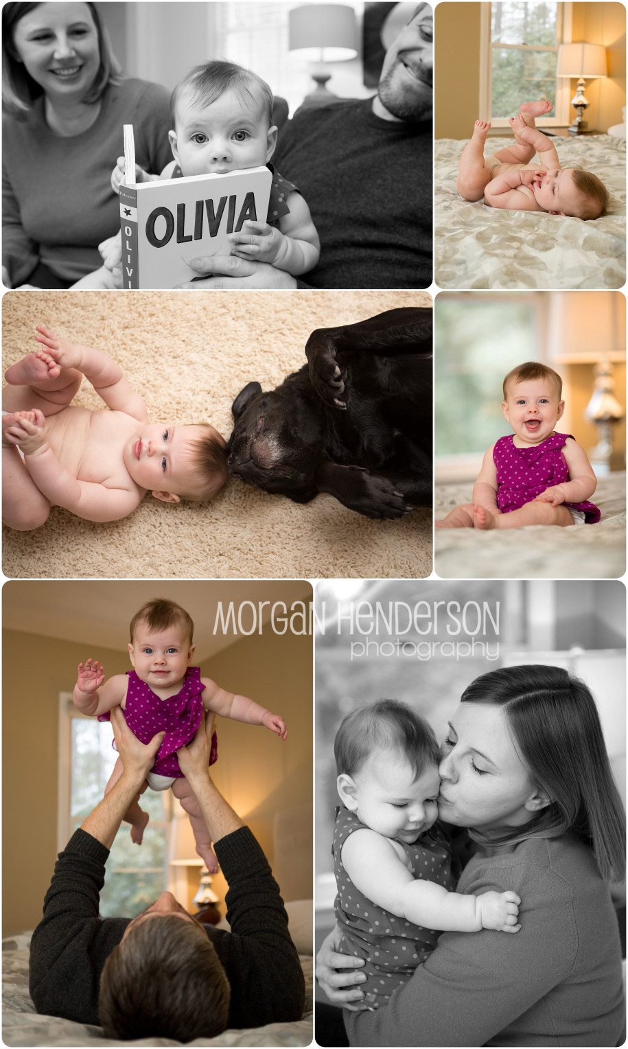 raleigh family photographer baby and dog