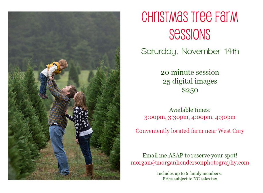 Christmas tree farm photography mini sessions