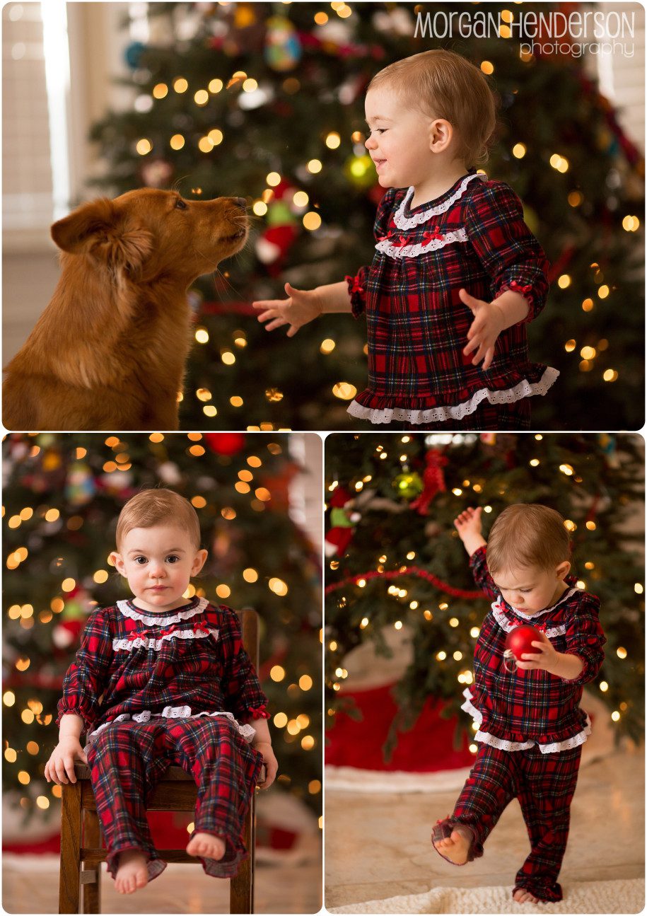 child and dog christmas tree photography